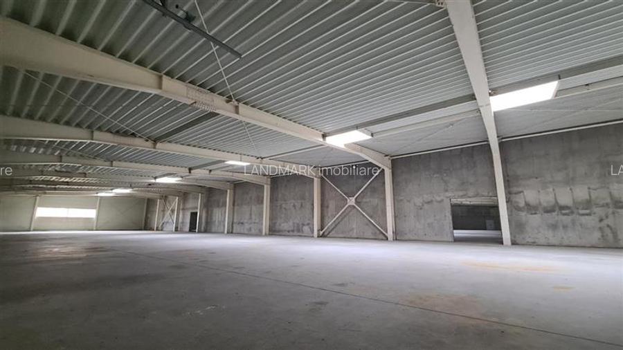 Hala productie de vanzare Timisoara - Exterior Nord - 6