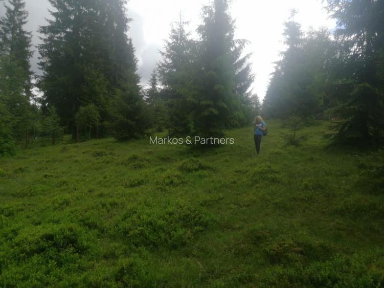 Teren de vanzare Belis1300mp Strada principala Intravilan - 7