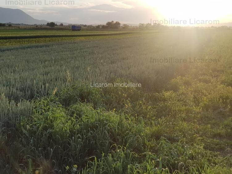 Teren Stupini Calea Feldioarei 4600 mp,22 euro/mp, front la asfalt - 3