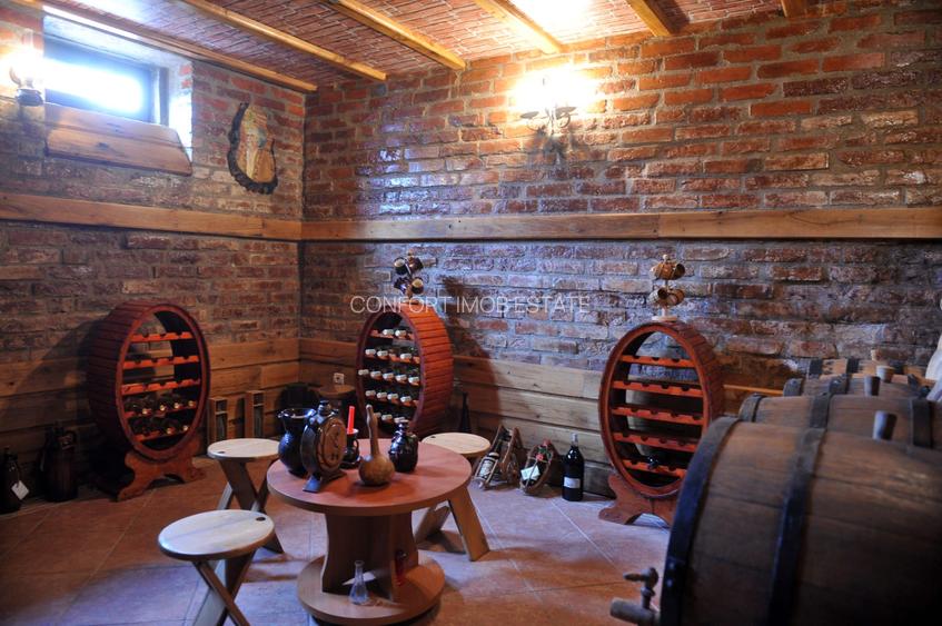 Vila de pe cărțile poștale - 29