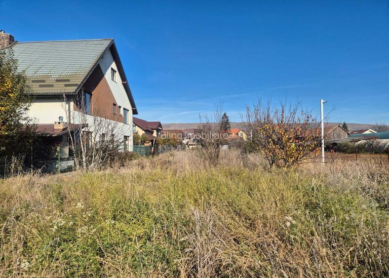 TEREN /CASA DE VANZARE , 1.580 , AVRAM IANCU - 8