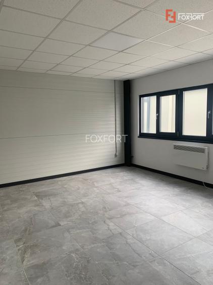 Hala industriala 500 mp + birouri, 1398 mp teren, acces TIR - Giarmata Vii - 3