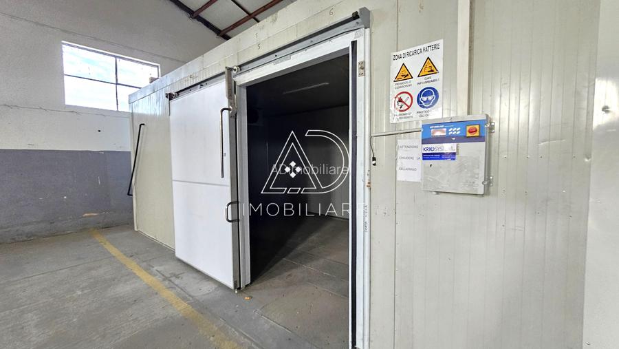 Proprietate industrială de vânzare – Târgu Jiu, Strada Ciocârlău - 9