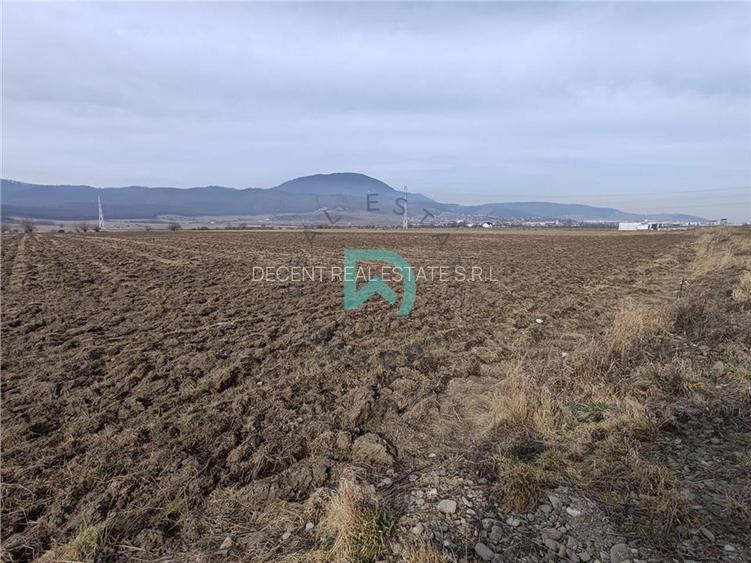 Teren intravila Industrial, 38800 mp, cu Autorizatie de Construire, Codlea Braso - 4