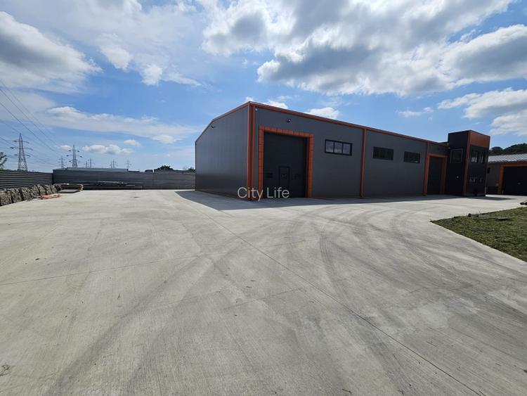 Hala noua de inchiriat str. Trei Fantani - 13