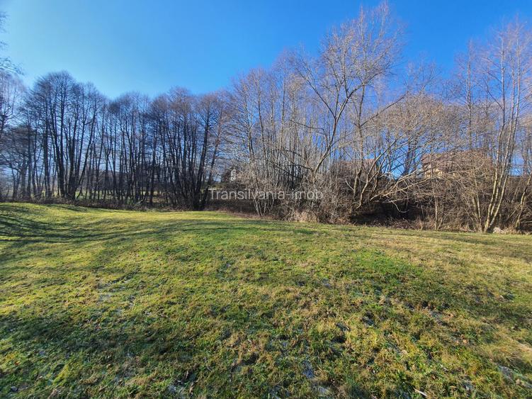 Teren rezidential zona Bran Predelut zona de case si pensiuni - 7