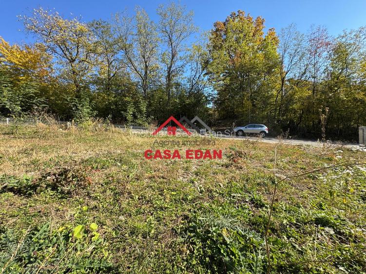 ●Teren in Cornu,Ph,500m--26.500e● - 3