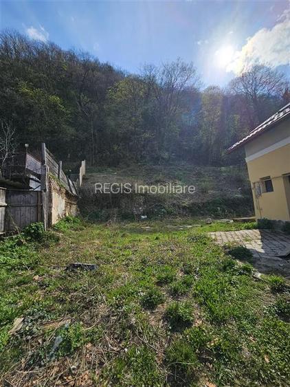 Teren Intravilan Dobrogeanu Gherea - 6