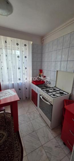 3 camere Banat - 5