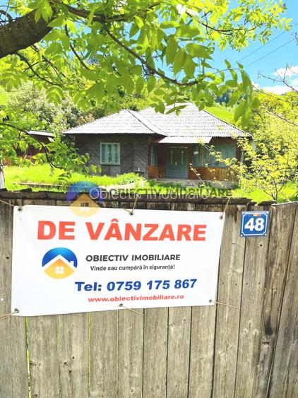 CASA traditionala BICAZU ARDELEAN + teren extravilan 1,6 hectare - 13