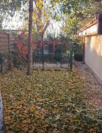 Vanzare Vile  Pipera  Scoala Americana - 16