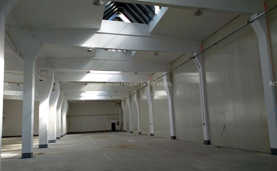 HALA INDUSTRIALA DE VANZARE GIURGIULUI - JILAVA - 7