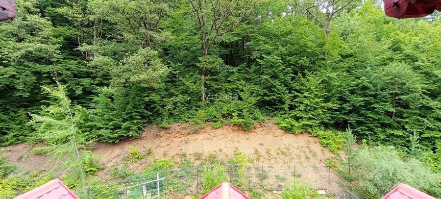 Complex turistic in Valcele-Covasna - 14