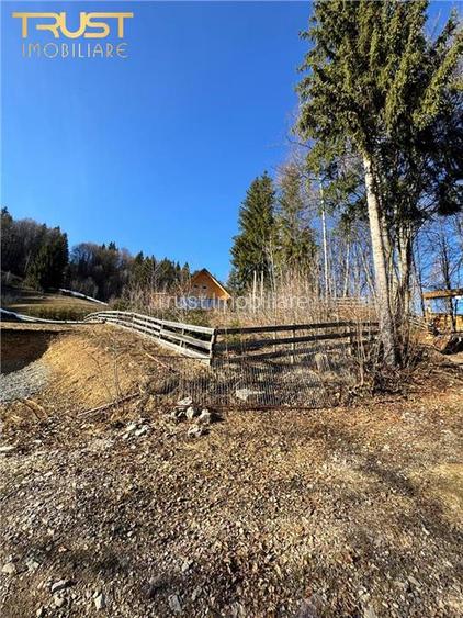 Cabana Zona Belis l 1500 MP l P+M l Alba - 20