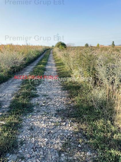 Teren intravilan 560mp - Miroslava - 3