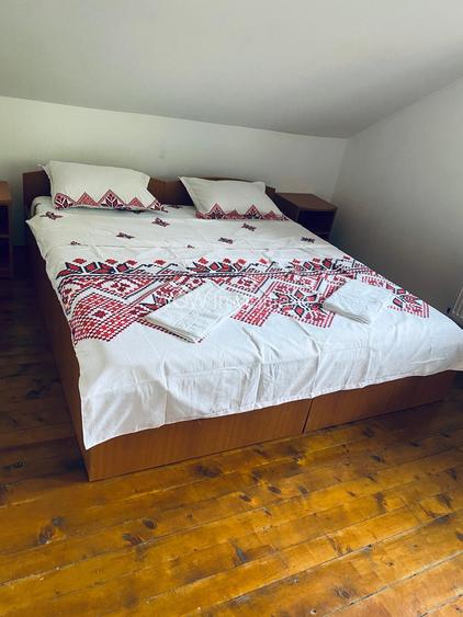 Casa de vacanta cu 5 camere si iesire la rau in Raul Sadului - 14