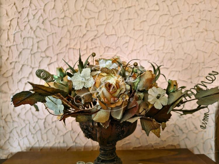 Casa  6 camere de vanzare str Samuel Micu Talmaciu - 11