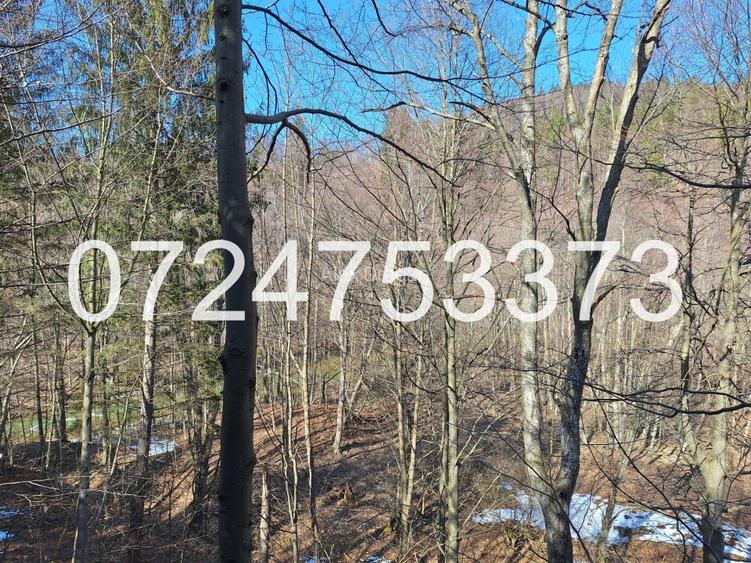 Cabană intravilan, teren 527mp lângă pădure și râu, Valea Popii, Mâneciu - 4