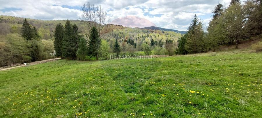 Poienita 2800mp, Covasna, zona hotel Clermont, inconjurat de padure - 2