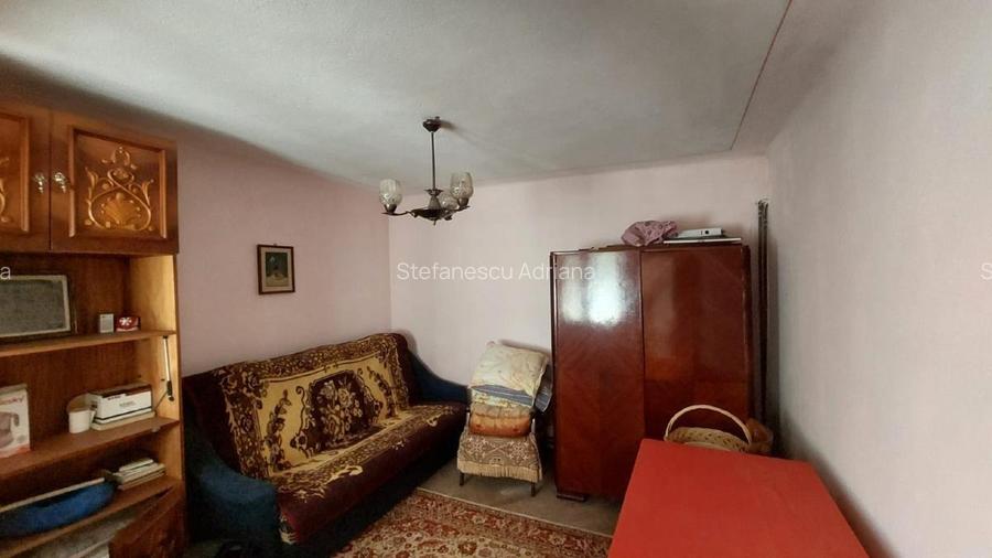 Proprietate cu 2 locuințe + spațiu comercial, 1175 mp teren – Islaz - 10