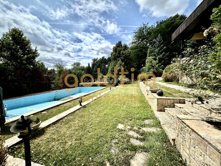 VILA MEDITERANEANA-IESIRE CATRE LAC 100MP/PONTON/PISCINA/DEBARCADER/SNAGOV/2006 - 12