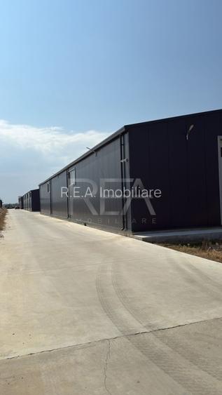 Hala de Vanzare Centura  / Magurele - 3