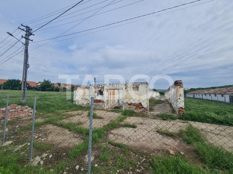 Hala in constructie cu teren intravilan de vanzare in Cut judetul Alba - 2