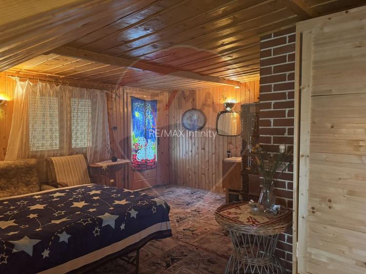 Cabana autentica de munte Frasinet - Baisoara 600 mp teren - 22