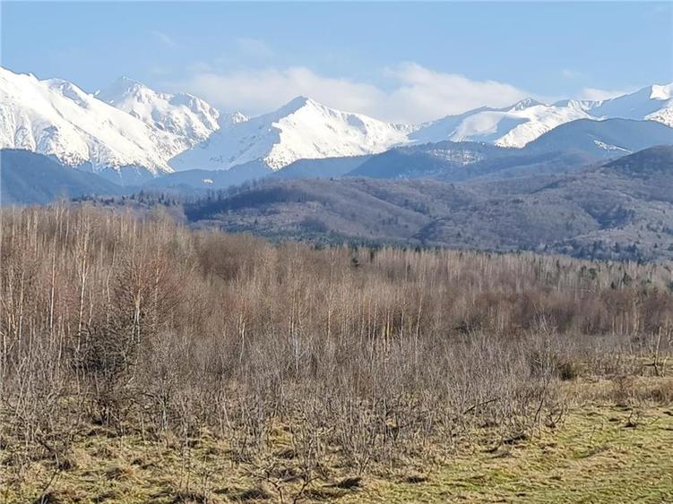 Teren intravilan 2500mp  pe Valea Avrigului,optim casa de vacanta