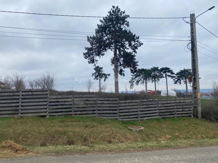 Comision 0%! Panorama superba, intravilan, 7631mp, front stradal 87m - 4