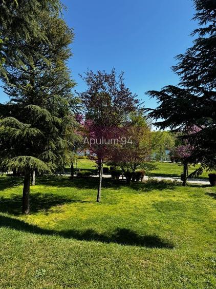 Apartament 3 camere, la parc IOR - 14