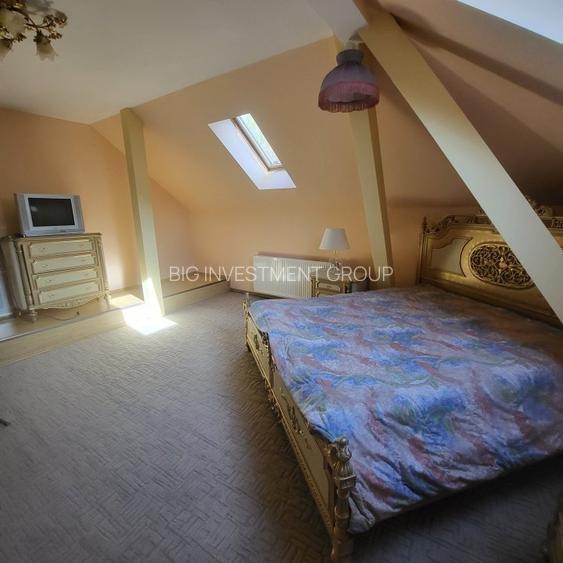 Vila boiereasca, superba, strada, linistita, nelipita de vreun alt imobil - 22