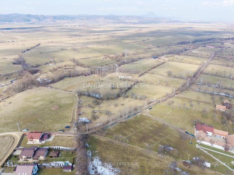 Bran Sohodol,5967mp+teren bonus,intravilan constructii P+E+M,comision0 - 16