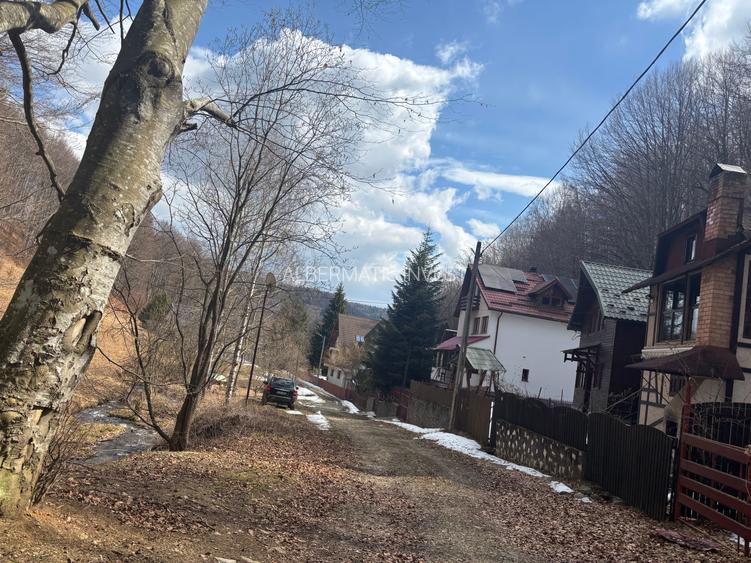 VANZARE PADURE MANECIU -CHEIA,  40HA - 5