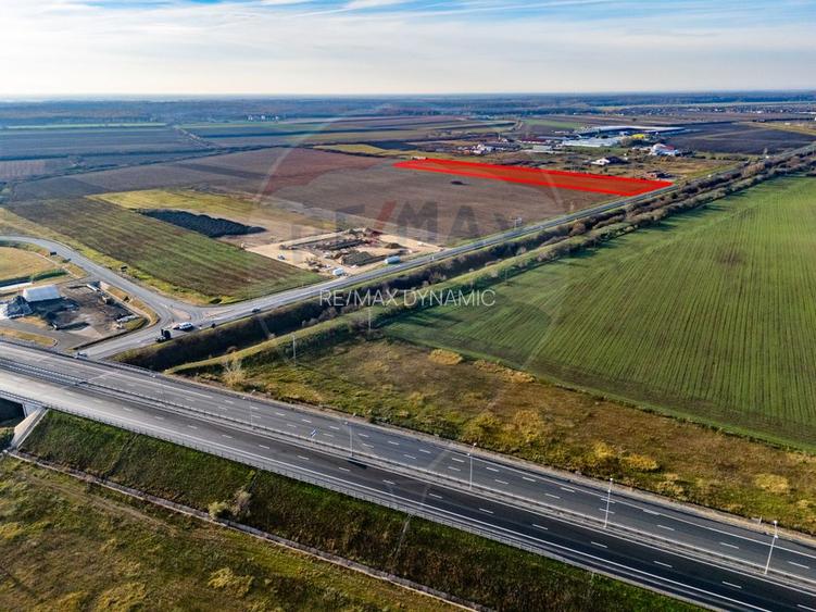Teren 29220 mp Pecica,DN7, langa autostrada- Ideal pentru afaceri - 5