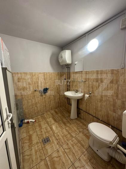 Trei hale industriale + Anexe, zona Breasta - 12