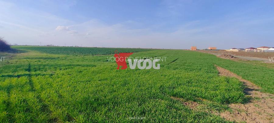 Teren de vânzare – 10.000 mp – ideal pentru parcelare și construcții - 4