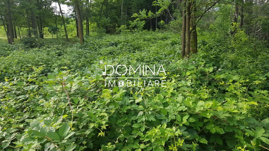 Vanzare teren intravilan 6843 mp, aproape de Manastirea Polovragi - 4