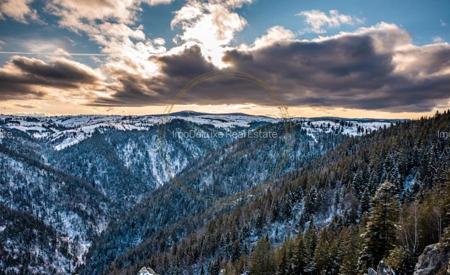 Teren extravilan, 4130mp, cu parau, la 500m de Primaria Marisel - 3