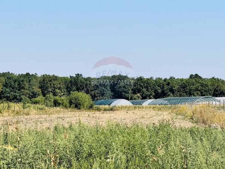 Teren 6,210mp Apateu / Strada Principala - 6