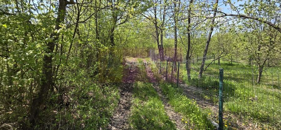 Teren cu Casuta de lemn in Sotrile (langă Valea Doftanei) - 13