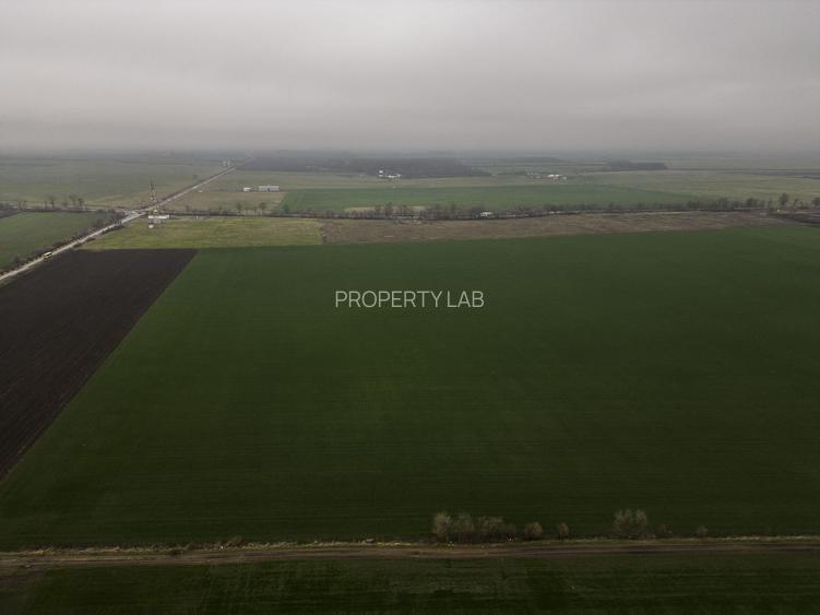 Teren 84000 mp la 20 km de Arad, la DN79 - 2