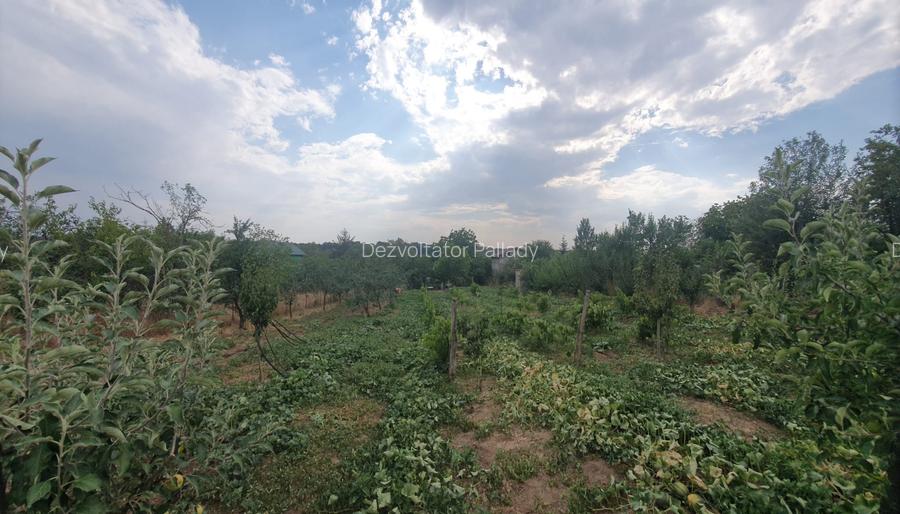 Teren 1100mp la 30 km de Bucuresti - 2