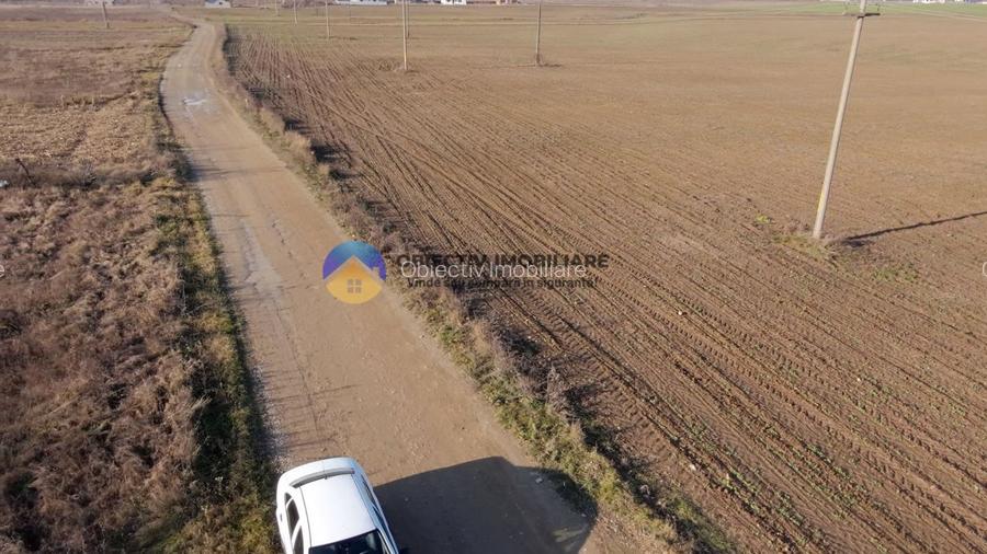 Teren investiție intravilan 3600 mp – Dumbrava Roșie - 5