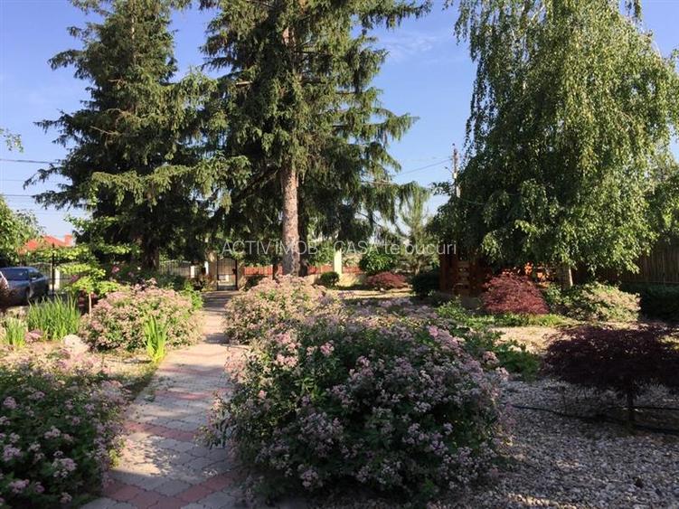 Vanzare Vila Clinceni- Monumentul Eroilor - 6