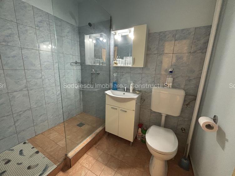 Apartament 1 camera la 10 minute de Iulius Mall - 12