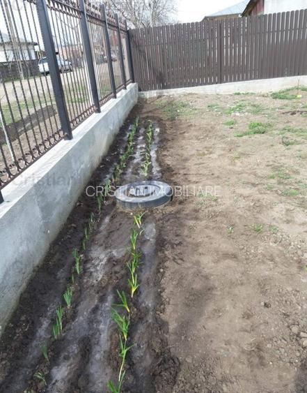Pozitie EXCELENTA intravilan Lacu Sarat 1300 mp latime 18m ingradit fier forjat - 3