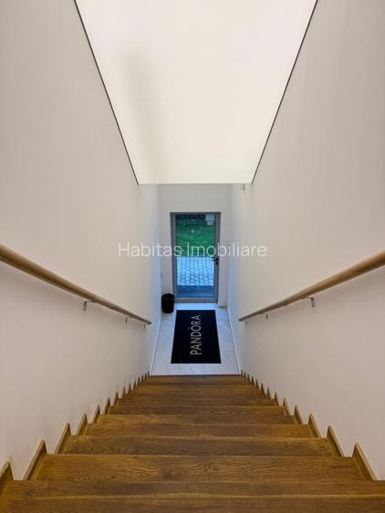 Spatiu comercial, 150 mp, zona Scolii de Politie-Dambul Rotund - 29