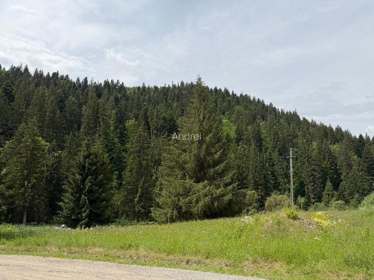 Teren de vânzare în Toplița – oportunitate pentru investiție turistică - 2