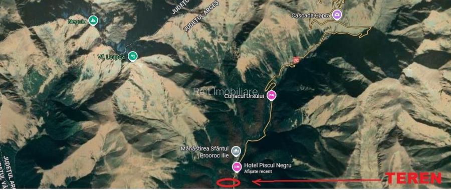 TEREN EXTRAVILAN PADURE PISCUL NEGRU ARGES - 9